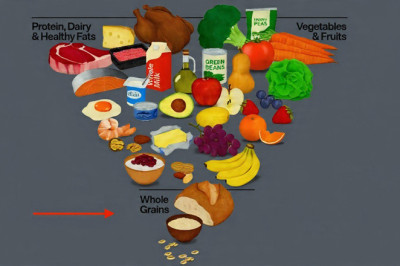 Brood en granen: Niet meer het fundament van je maaltijd volgens de nieuwe (Amerikaanse) voedselpiramide